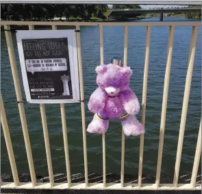  ??  ?? The Pieta teddy....on the bridge.