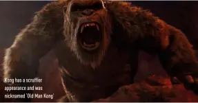  ??  ?? Kong has a scruffier appearance and was nicknamed ‘Old Man Kong’