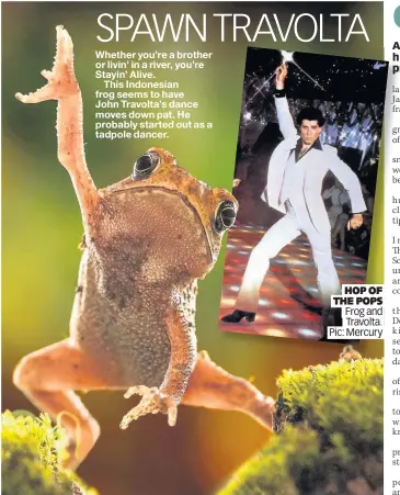  ??  ?? HOP OF THE POPS Frog and Travolta. Pic: Mercury