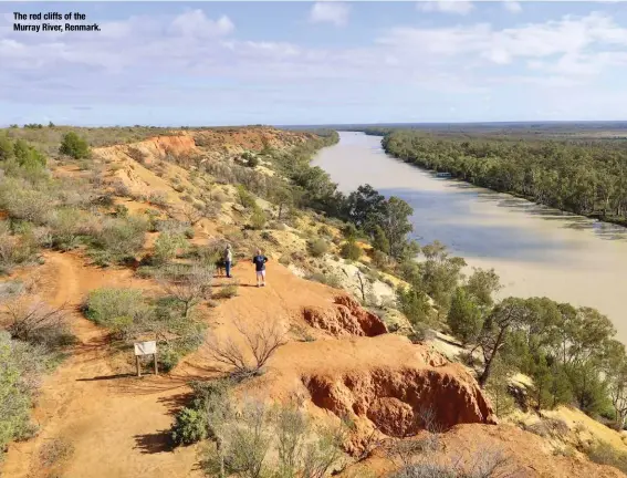  ?? ?? The red cliffs of the Murray River, Renmark.