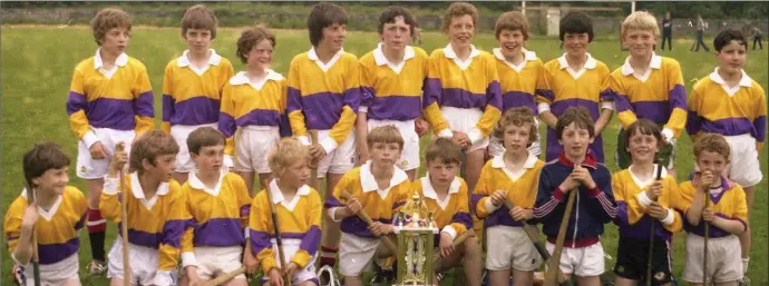  ??  ?? One of the hurling teams from the 1982 Geraldine O’Hanrahan’s Street League.