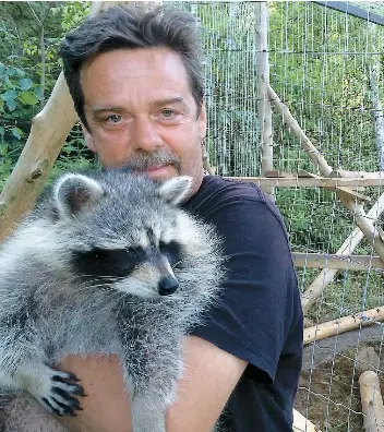 Forcés de déménager pour sauver des ratons laveurs - PressReader