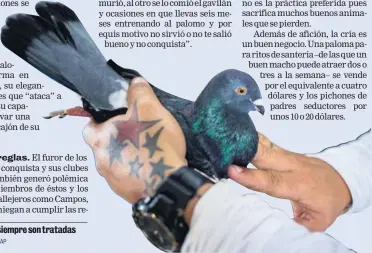  ?? AP ?? Las aves no siempre son tratadas con cuidado.