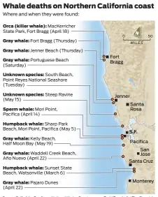  ?? Source: Gulf of the Farallones National Marine Sanctuary
Todd TruMbull / The Chronicle ??