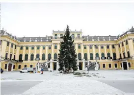  ??  ?? Ab 21. November werden die Kerzen am Baum leuchten, vorerst ohne Aussteller