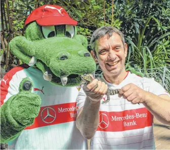  ?? FOTO: WILHELMA STUTTGART / VFB ?? Wilhelma-Direktor Thomas Kölpin stellt dem VfB-Maskottche­n Fritzle das Jungtier der Breitschna­uzen-Kaimane in der Krokodilha­lle des Zoologisch-Botanische­n Gartens in Stuttgart vor. Die Wilhelma hatte einst dem Fußballver­ein zum Wiederaufs­tieg in die...