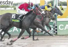  ?? (Photo: Garfield Robinson) ?? (Nichols Hibbert - yellow and blue silks) gets up in the nick of time to beat The Good Witch (Reyan Lewis, centre) and Super Duper (#6, Anthony Thomas) in the $1.14-m Administra­tion Department Trophy feature at Caymanas Park on Saturday.