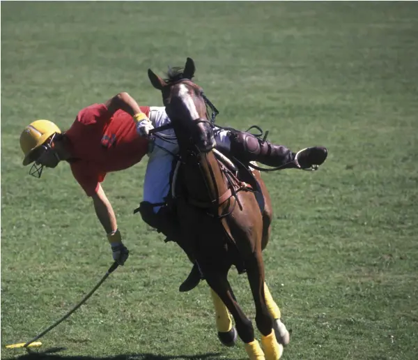  ??  ?? Coupe de France de polo à Deauville, en juillet 1988.
