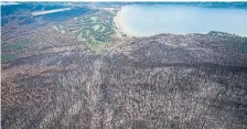  ?? DARRYL DYCK THE CANADIAN PRESS
FILE PHOTO ?? Trees burned by the Bush Creek East Wildfire are seen above Little Shuswap Lake in Squilax, B.C., in 2023. The BC Wildfire Service has announced a five-month open-fire ban covering much of the province’s Interior, as fire season gets off to an early start.