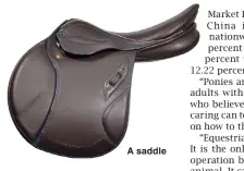  ??  ?? A saddle