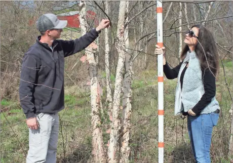  ?? Doug Walker / RN-T ?? Tad Bielstein (left) and his stepmother Lynn Bielstein check out the condition of the bark and height of a tri-cane river birch at the Nature’s Inc. tree farm.