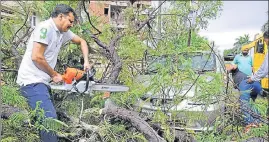  ?? NITIN KANOTRA/HT ?? Disaster relief force personnel cut down parts a tree that was uprooted by strong winds in Jammu on Friday.