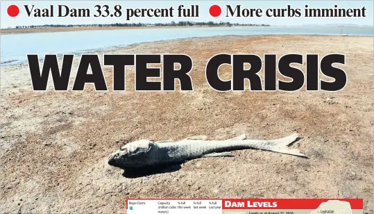  ?? PICTURE: ITUMELENG ENGLISH ?? PARCHED: Dead fish in the Vaal Dam, a major water source for Gauteng. The water level is dropping at an alarming rate.
