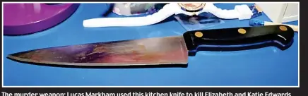  ??  ?? The murder weapon: Lucas Markham used this kitchen knife to kill Elizabeth and Katie Edwards