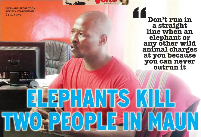 ELEPHANTS KILL TWO PEOPLE IN MAUN - PressReader