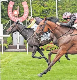  ?? ?? And they’re off The new season is all set to start at Hamilton Park racecourse