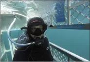  ?? THE ASSOCIATED PRESS ?? Al Noor mosque shooting survivor Temel Atacocugu waits in a shark cage to see great white sharks off the coast of Bluff in southern New Zealand.