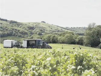  ?? PICTURE: SDNPA ?? Farmer on the South Downs