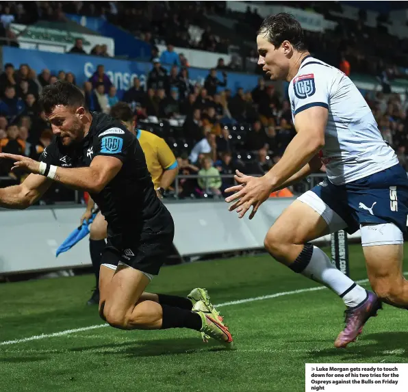  ?? ?? > Luke Morgan gets ready to touch down for one of his two tries for the Ospreys against the Bulls on Friday night