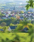  ??  ?? Am Wegesrand ergeben sich zu Beginn und am Ende viele Ausblicke auf St. Wendel (links) und das Missionsha­us (Foto oben). Der Wanderer trifft auf abwechslun­gsreiche Waldbilder (hier rechts mit Fichten) und sogar auf einen Steinbruch (ganz rechts).