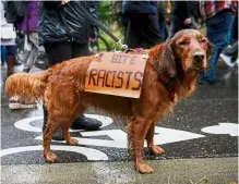  ?? — Reuters ?? Dog with a bone: Hazel the dog joining in a silent march organised by Black Lives Matter Seattle-King County in Washington.