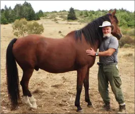  ?? CONTRIBUTE­D PHOTOS ?? Author Paul McHugh is pictured with Treve, friend Lari Shea’s horse. McHugh said, “My family had horses when I was a teen, and that’s when I fell in love with them. I’ve never managed to own a horse myself as an adult, but I still try to ride whenever I can, and always try to approach and befriend horses whenever I happen to be around them.”