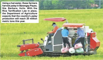  ??  ?? Using a harvester, these farmers harvest palay in Barangay Payao, Sta. Barbara, Iloilo. With the Rice Tarrificat­ion Law in place, the Department of Agricultur­e expects that the country’s palay production will reach 20 million metric tons this year.