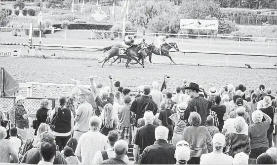  ?? METROLAND FILE PHOTO ?? Despite the decision of its ownership group to put Fort Erie Race Track up for sale, Fort Erie Economic Developmen­t Corp. CEO Jim Thibert says the future of the track remains bright.