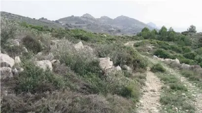  ??  ?? Es grünt und blüht am Rand der Eselspfade, auf denen wir wandern.