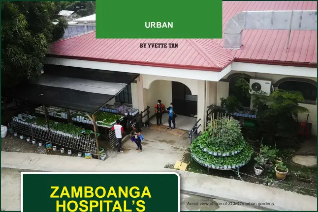  ?? ?? Aerial view of one of ZCMC’s urban gardens.