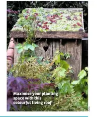  ??  ?? Maximise your planting space with this colourful living roof