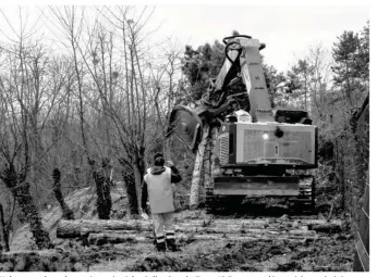  ??  ?? L’abattage des arbres nécessaire à la réalisatio­n du Tram 13 Express a démarré à proximité du château de Saint-germain-en-laye