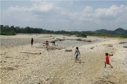  ?? FOTO MANUEL SALDARRIAG­A ?? Así se veía el río Cauca la tarde de ayer a la altura del municipio de Cáceres. Los niños recorrían las playas que se formaron por el bajo nivel del afluente.