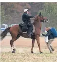  ?? FOTO: DPA ?? Ein Polizist auf einem Pferd reitet auf einen Demonstran­ten zu.