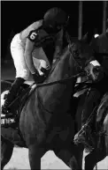  ?? COADY PHOTOGRAPH­Y ?? Candy Overload was a Grade 2 winner at Woodbine.