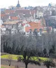  ?? FOTO: DPA ?? Marbach am Neckar.