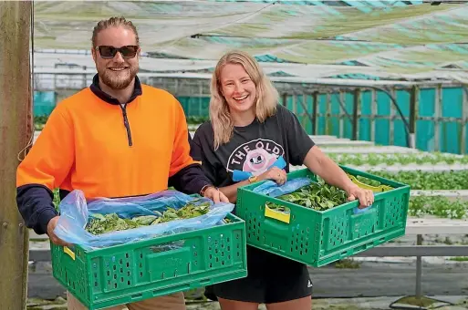  ?? KATE GREEN/STUFF ?? Angus Simms and Katie Jackson are the founders of Wonky Box, a subscripti­on food service delivering oddshaped and excess fresh produce, grown locally in Kāpiti and Wairarapa, to homes around Wellington.