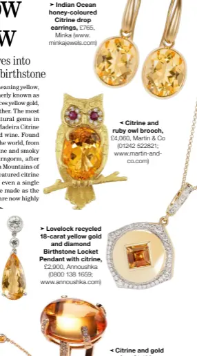  ?? ?? Citrine and ruby owl brooch, £4,060, Martin & Co (01242 522821; www.martin-andco.com)