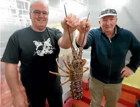  ?? SCOTT HAMMOND / STUFF ?? Trevor and Dennis Burkhart show off some of their catch, above, while, left, their crewmen are pulling more catch aboard to feed a hungry Chinese market.