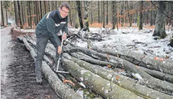  ?? FOTO: SIMON SCHNEIDER ?? Förster Andreas Fink bei seiner Arbeit im Wald.