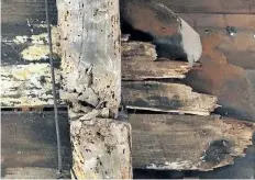  ?? BILL SIKES/AP FILES ?? In this Sept. 27 photo, old wood is exposed in a wall inside the 17th-century homestead where Sarah Clayes lived in Framingham, Mass., after leaving Salem following the 1692 witch trials. After years-long efforts to figure out who owned the home, which...