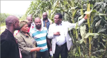  ??  ?? ZANU-PF is currently having a dry run on Command Agricultur­e and is apparently looking at a larger “command” cluster model where various initiative­s and sectors will be given stimuli