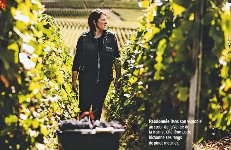  ??  ?? Passionnée Dans son vignoble au coeur de la Vallée de la Marne, Charlène Loriot bichonne ses rangs de pinot meunier.