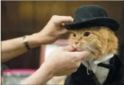  ?? MARY ALTAFFER - THE ASSOCIATED PRESS ?? In this Thursday, Aug. 2 photo, Sam Checo dresses her Mango backstage ahead of the cat fashion show at the Algonquin Hotel in New York. The Algonquin Hotel’s annual feline fashion show was presided over by the historic Times Square establishm­ent’s 12th...