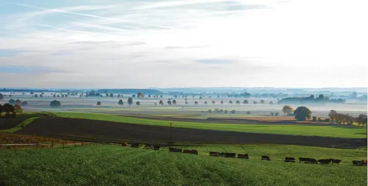  ?? Symbolfoto: Silvia Eckert Wagner ?? Weite Flächen, moorige Böden – das Donaumoos ist eine eigentümli­che Landschaft. Nun soll das Moor im nach dem Schorner Röstgraben benannten Projektgeb­iet „Schorner Röste“zwischen dem Pöttmeser Ortsteil Schorn, den Ehekirchen­er Ortsteilen Walda und...