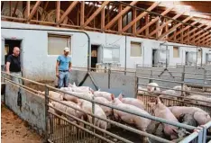  ?? Fotos: Eva Weizenegge­r ?? Landwirt Josef Gelb senior ist mit diesem neuartigen Stallkonze­pt in ganz Deutsch land unterwegs und stellt es bei Vorträgen vor.