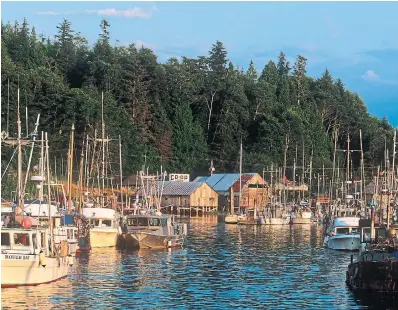  ?? CHRIS CHEADLE GETTY IMAGES FILE PHOTO ?? “Far Cry” begins with the mysterious death of Frank Starratt, a watchman at a cannery on British Columbia’s north coast.