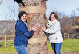  ??  ?? Lissette Gutiérrez y Shirley Figueroa abrazan a “Shelby”.