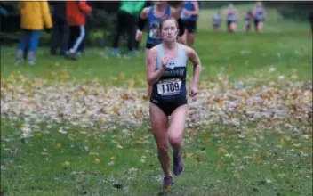  ?? SUBMITTED PHOTO ?? Moravian College sophomore and Sun Valley grad Natalie Novotni runs to victory in the Landmark Conference cross country Championsh­ips last weekend.