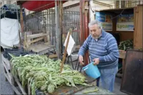 ?? CAIN BURDEAU VIA AP ?? This photo shows Francesco Andolina at the end of a day of work splashing water on artichokes he sells at the Ballaro market. He’s a fruit and vegetable vendor whose family has been working in the market for generation­s.